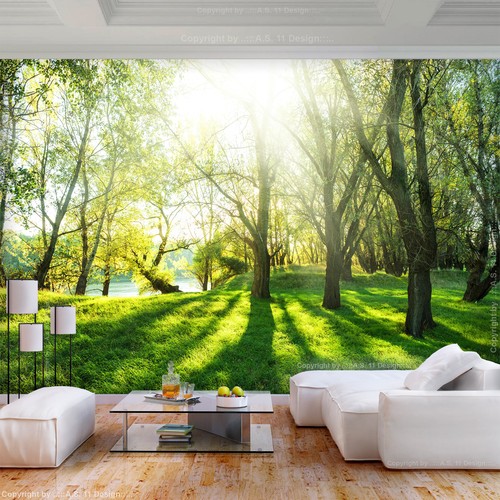 Wald sonne landschaft natur - sonne,