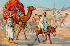 47/790 SAMMELBILD TUAREG  SUDAN AFRIKA KAMEL SAHARA WÜSTE KARAWANE