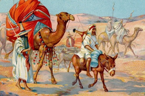 790 sammelbild tuareg - 47/790,