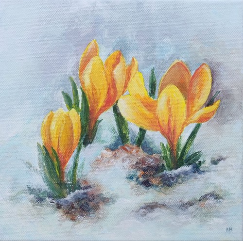 Blumen gelbe krokusse - blumen, im