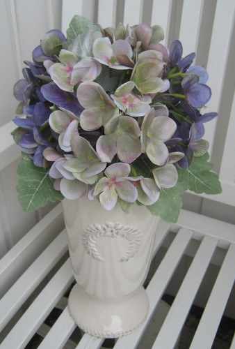 Große hortensien blumen - große,