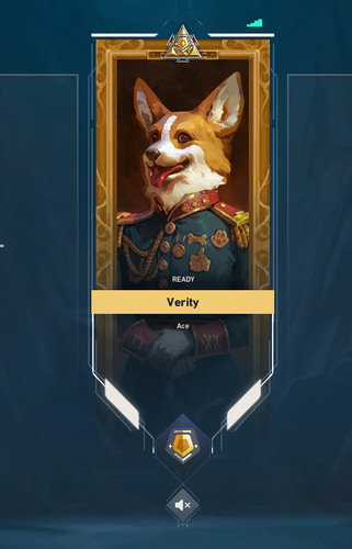 Valorant account skins - valorant,
