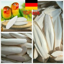 5-70 Stk Sepia-Schalen Vogel Mineralfutter Sittiche, Wellensittiche, Leguan DE