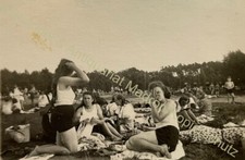 orig. Foto Steinhuder Meer