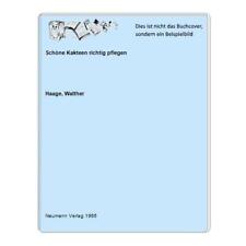 Schöne Kakteen richtig