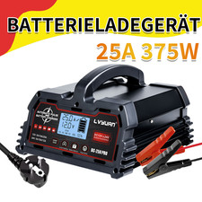 25A 12V 24V Intelligentes Ladegerät für Blei-Säure-Batterien für Auto, Lkw, Boot
