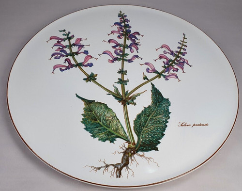Villeroy boch botanica - &,