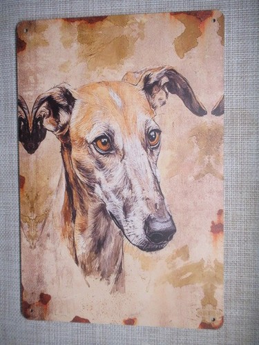 Blechschild whippet kopf - blechschild,
