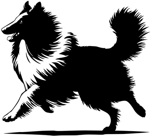 Collie aufkleber - -,