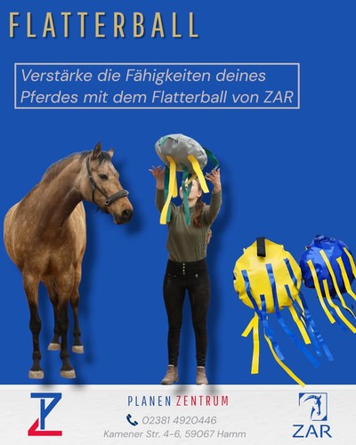 Flatterball 2er set