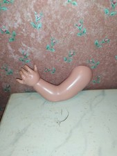 Schildkröt-Celluloid-Scheiben