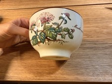 Villeroy & Boch Botanica