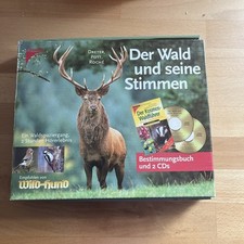 Der Wald und seine Stimmen. Ein Waldspaziergang - 2 Stunden Hörerlebnis