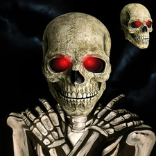 Halloween Full Head Skull Mask
