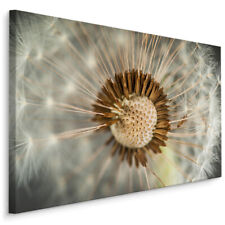 CANVAS Leinwand Bilder XXL