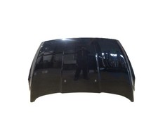 MOTORHAUBE HOOD Ford Ka+