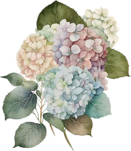 Schöne blumen bunte - schöne,