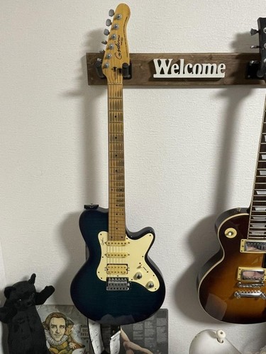 Gitarre godin sd24 gesteppte - e-gitarre,
