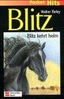 Blitz pocket hits - pocket, hits,