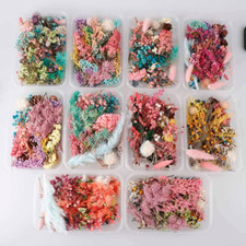 1 Box getrocknete Blumen DIY