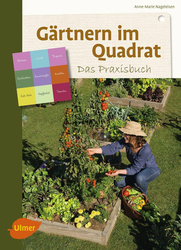 Gärtnern quadrat das - im,