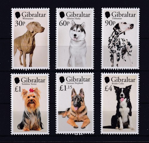Gibraltar 2026 mnh hund - gibraltar, **
