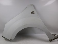 Vordere Linke Kotflügel