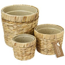 Innovativer Blumentopf Wasserhyazinthe, Pflanztopf aus nachhaltigen Rohstoffen