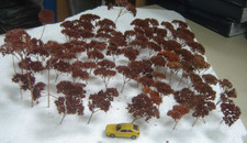 HO/N Konvolut Naturbüsche