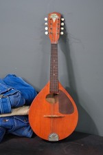 Vintage Regal Beltone Mandolin
