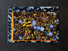 Borussia Dortmund Panini