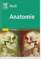 Anatomie. Kurzlehrbuch zum Gegenstandskatalog 1 v... | Buch | Zustand akzeptabel