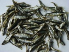 (EUR 12,90/ Kg) Stinte