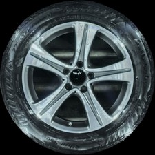 225/55 R17 Winterreifen