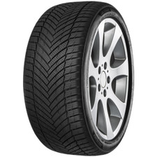 MINERVA Ganzjahresreifen 235/40 R 19 XL TL 96Y AS MASTER M+S 3PMSF Allwetter