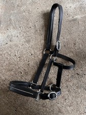 Lederhalfter Warmblut Full