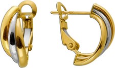 Bicolor Creolen Gelbgold