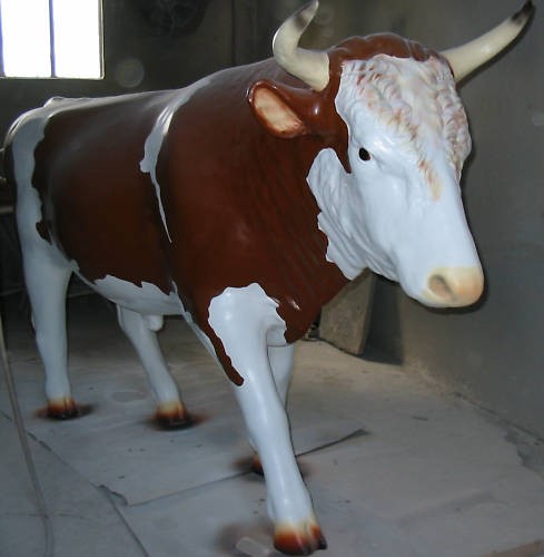 Stier hector braun weiß - braun,
