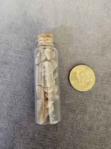Donnerkeile belemnite - donnerkeile,
