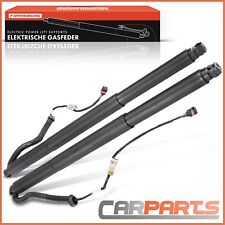 2x Elektrisch Gasfeder