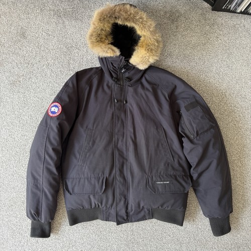 Canada goose chilliwack - goose, bomber