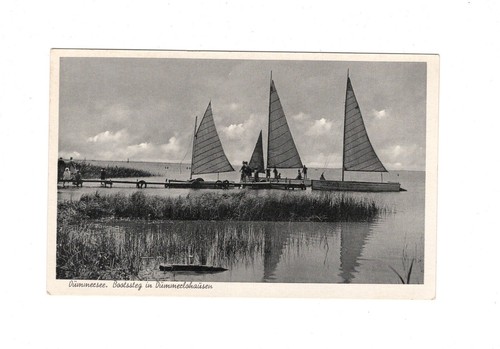 Ansichtskarte dümmersee - ansichtskarte, /