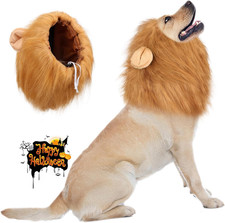 Vivifying Hundekostüm