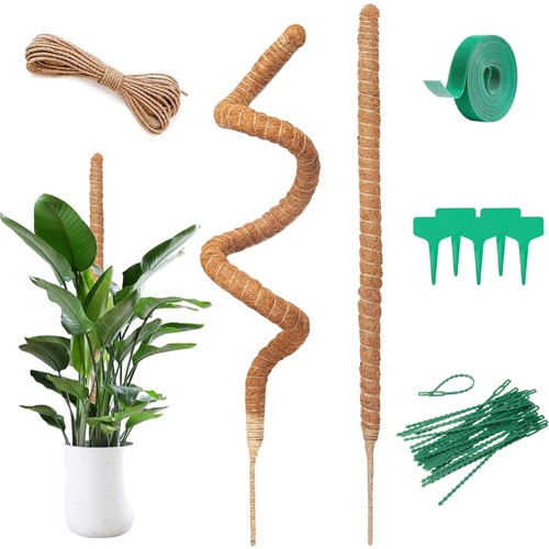 Monstera rankhilfe kokosstab - monstera,