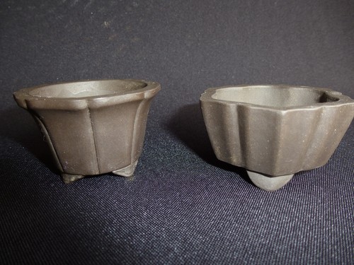 Bonsai mame schale yixing - bonsai,
