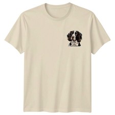 Springer Spaniel Hund Tiere