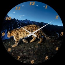 Mega Wanduhr " Leopard "