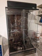 Terrarium 50x40x80 cm ink. eingebauter Rückwand