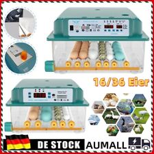 16/36Eier Automatische