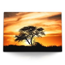 120x80cm Wandbild auf Leinwand Abendrot Abenddämmerung Natur Baum Afrika roter